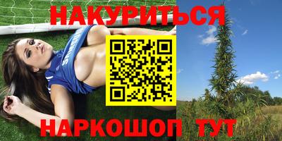 твердый Будённовск