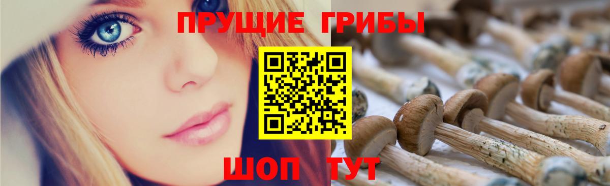 Галлюциногенные грибы GOLDEN TEACHER  Вход с VPN  Галлюциногенные грибы Psilocybe  Ногинск 